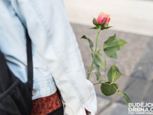 Rozdávání růží v MHD