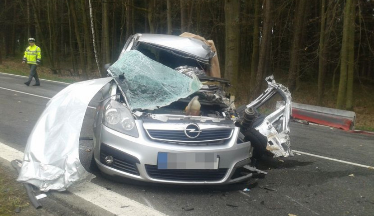 Po pár dnech vyhasl na silnici směrem na Jindřichův Hradec další život, tentokrát u obce Dolní Ždár