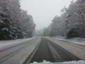 U Boršova uzavřela silnici hromadná nehoda.