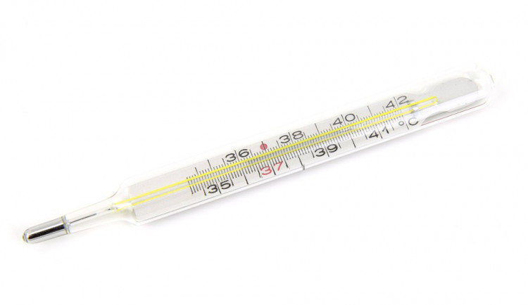 Počet pacientů s příušnicemi v Jihočeském kraji výrazně stoupnul