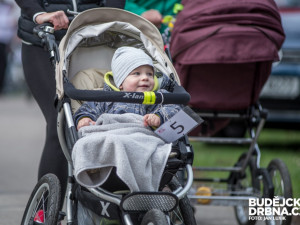 Závody kočárků u Malého jezu