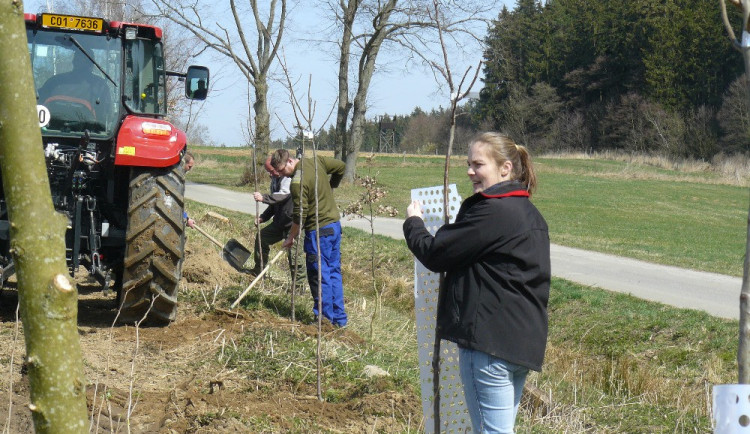 Novou alej vysázeli obyvatelé Dobrohoště u Jindřichova Hradce