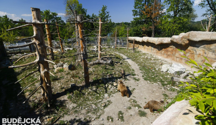 Za starý spotřebič s dětmi do ZOO Hluboká