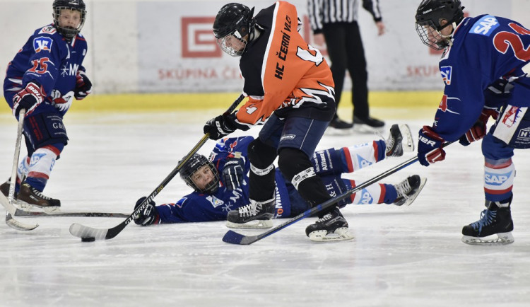 Spring cup Jaroslava Pouzara