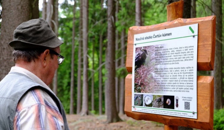 Řadu zajímavých informací se mohou turisté dozvědět na nové naučné stezce mezi Lodhéřovem a Kostelní Radouní