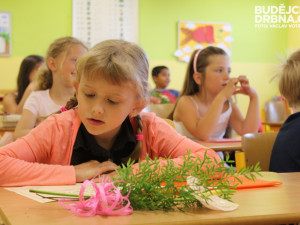 Předávání vysvědčení na ZŠ Vl. Rady