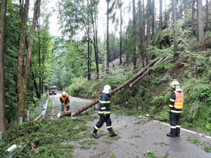 Kvůli silnému dešti mají jihočeští hasiči plno práce, nejčastěji řeší popadané stromy