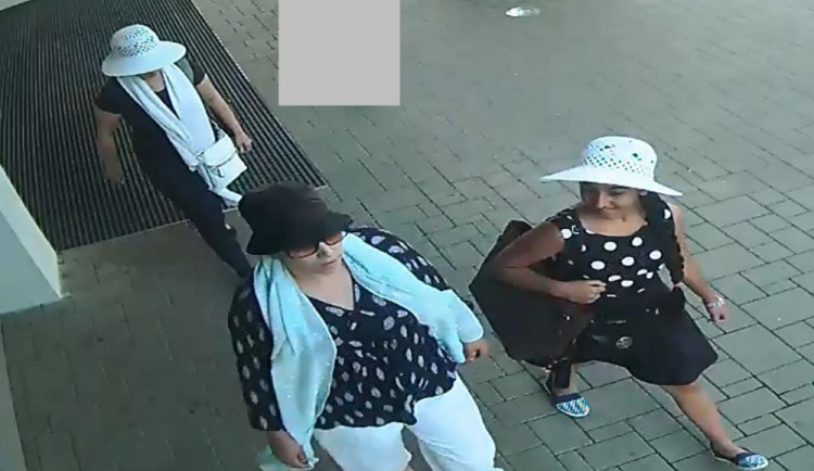 Pravděpodobné pachatelky krádeže