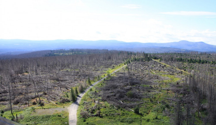 Pohled z Polední hory