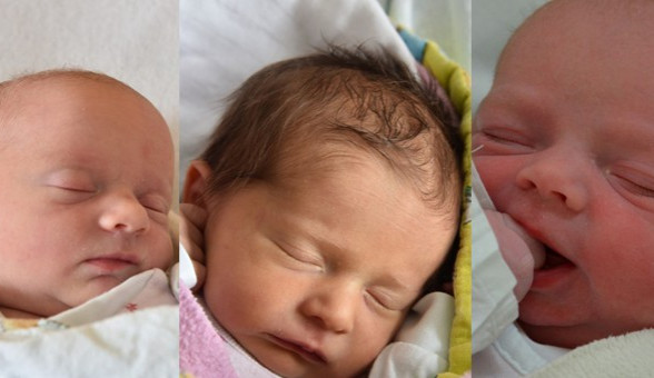 Vítězná drbňátka za měsíc květen.