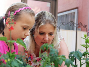 Pomozte nám zalévat, ať vyrosteme co nejdříve!