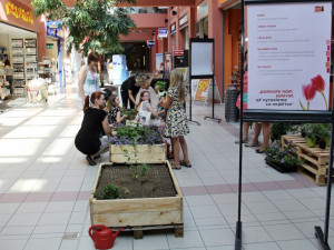 Pomozte nám zalévat, ať vyrosteme co nejdříve!