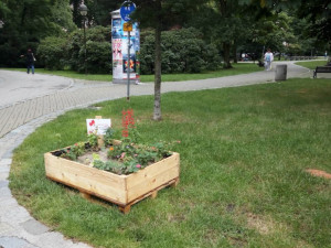 Pomozte nám zalévat, ať vyrosteme co nejdříve!