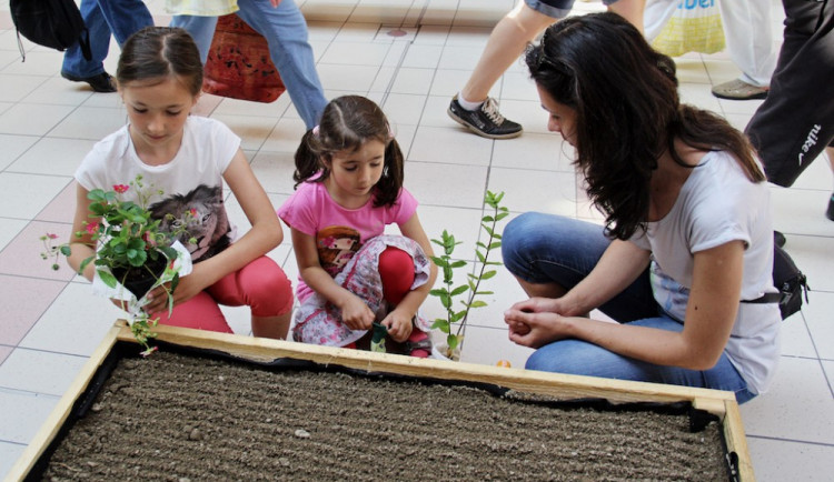 Pomozte nám zalévat, ať vyrosteme co nejdříve!