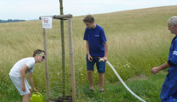 Nové stromy vysázeli v okolí obyvatelé Chyšek