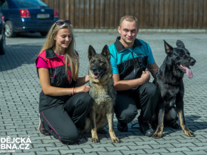 Na mistrovství České republiky mladých kynologů budou soutěžit i Jihočeši