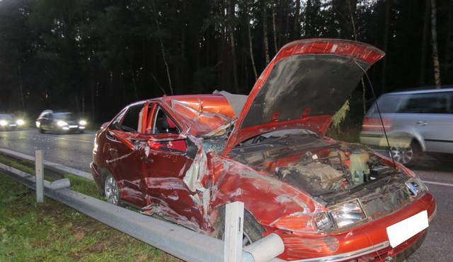 Jednadvacetiletý řidič ráno nepřežil nehodu u Bujanova