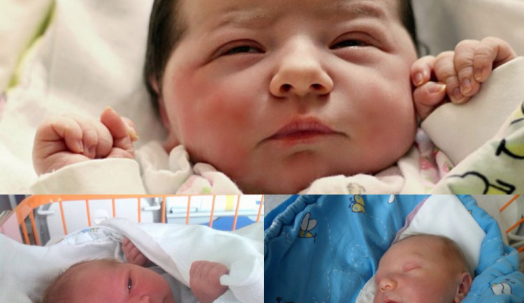 Drbňátka měsíce červen