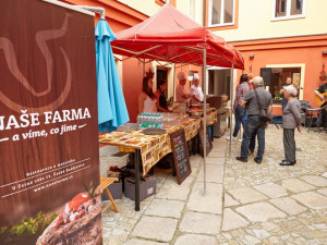 Muzeum cestopisné literatury v Českých Budějovicích