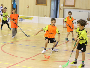 Štíři nabírají dívky i kluky