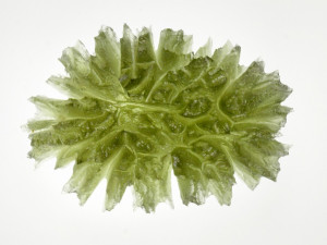 Tajemství a krása drahokamů z vesmíru