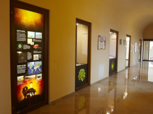 Tajemství a krása drahokamů z vesmíru