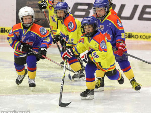 Přestávkový program vyplnili malí hokejisté Motoru