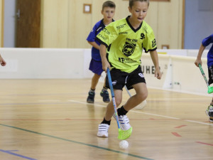 FBC Štíři České Budějovice