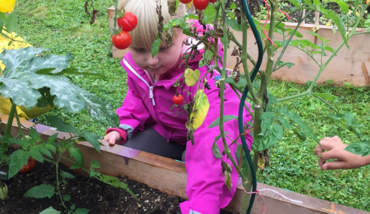 Na plení a zalévání se podílejí hlavně starší děti