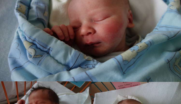 Drbňátka měsíce červenec