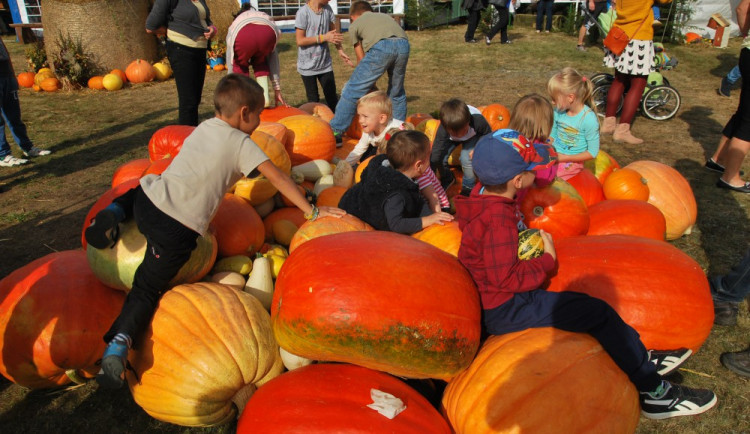 Kam se na to hrabe pískoviště