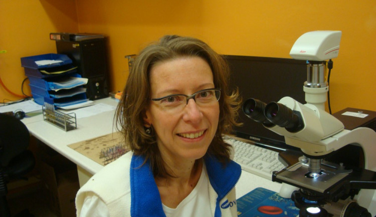 Markéta Hajná