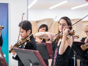 Jihočeská filharmonie představila upravené prostory
