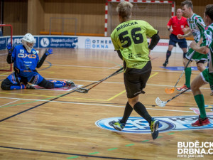 FBC Štíři České Budějovice – Fbš Bohemians Praha