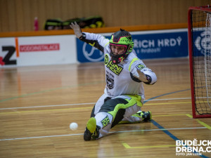 FBC Štíři České Budějovice – Fbš Bohemians Praha