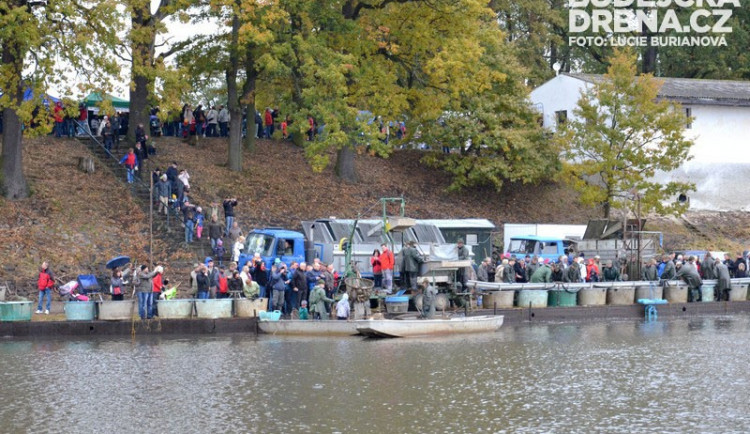 Rybáři v pátek zahájili třídenní výlov rybníku Rožmberk