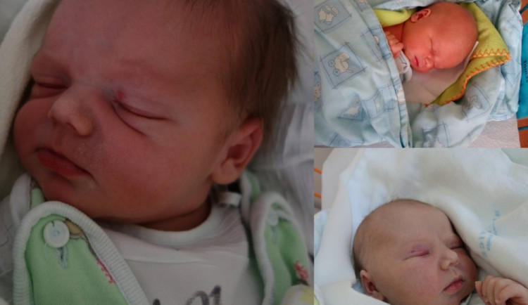 Drbňátka měsíce srpna