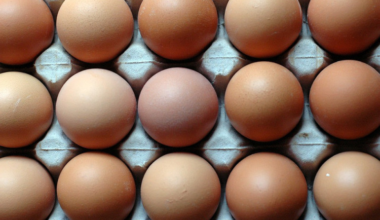 Jedy ze skládky u Lhenic se mohou dostat do vajec