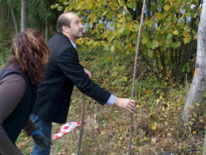 Den stromů oslavili v Prachaticích výsadbou aleje podél stezky