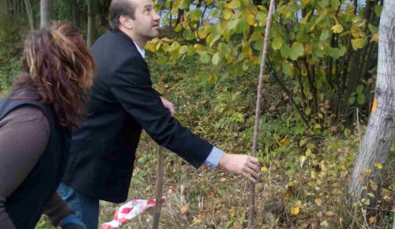 Se sázením stromů pomáhal i starosta Prachatic