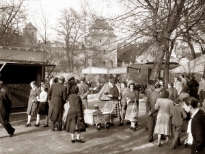 Krumlovské aleje 1959