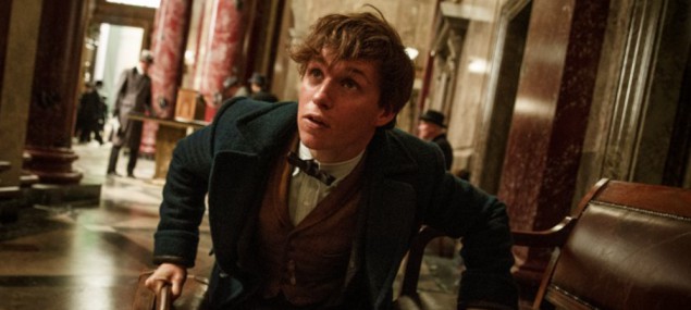 Fantastická zvířata a kde je najít