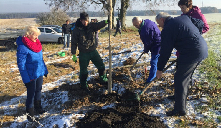 Na sázení se podíleli i dobrovolníci