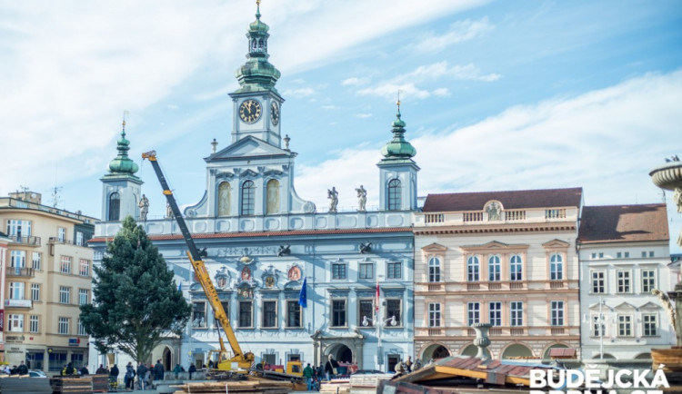 Na náměstí Přemysla Otakara II. byl přivezen vánoční strom