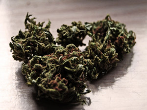 Dva roky pěstoval konopí na Vodňansku. Policisté u něj letos v srpnu našli šest kilogramů marihuany