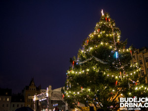 Rozsvícení vánočního stromečku