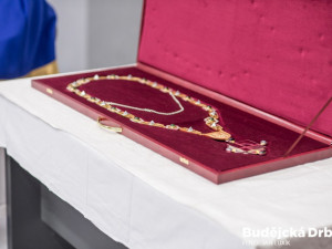 VŠTE mění statut. Bude univerzitou a vytvoří fakulty