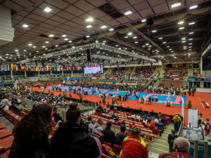 Na mistrovství Česka v karate dominovaly kluby z Budějc. Medaile přivezli i další Jihočeši