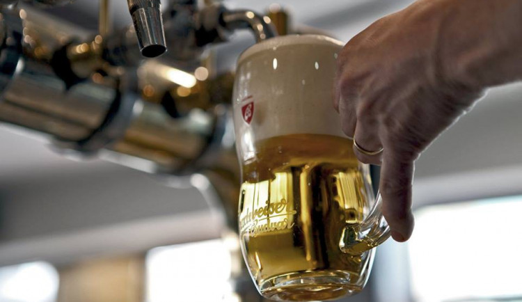 V hospodách v jižních Čechách a na Vysočině se pije rychlostí jedno a půl piva za hodinu