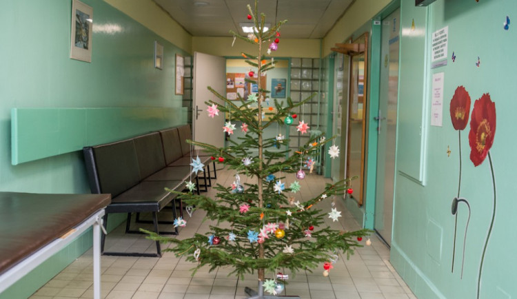 Českokrumlovskou nemocnici provoněly pravé stromky z Blanského lesa